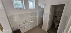 IMG-20260419-WA0070