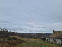 0f6e25e6-c55e-45e9-8542-d9ce6a79a6c4